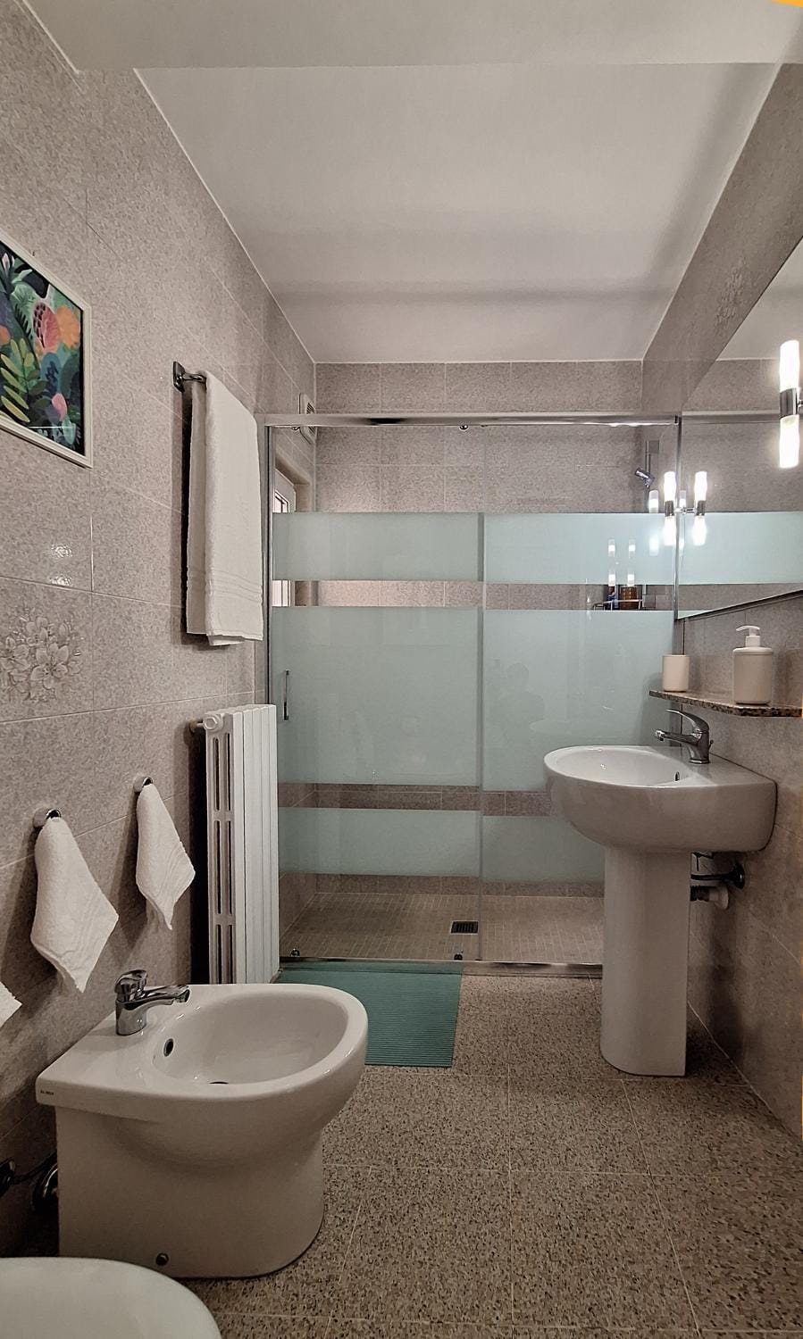 Shower, Toilet, Bathroom, bidet, hair dryier, towels
