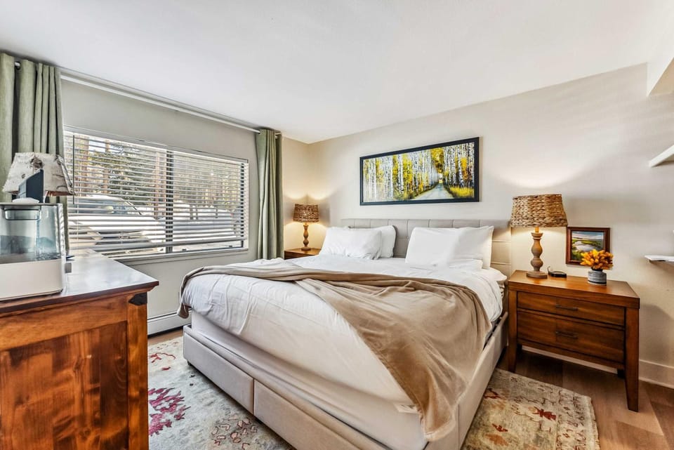 Breckenridge Condo Steps from Main Street and Peak 9 Apartment in Breckenridge