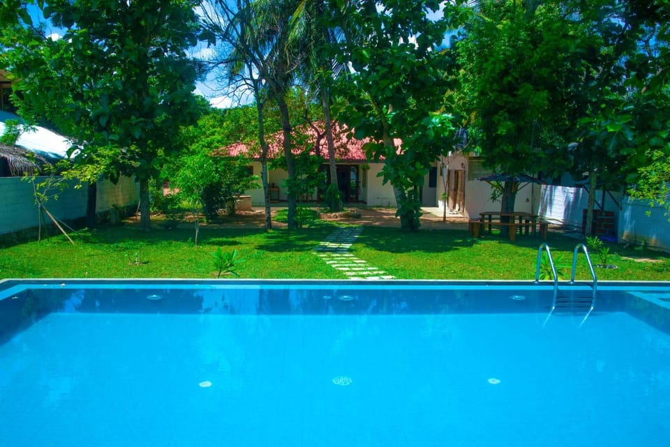 Day, Garden, Garden view, Pool view, Swimming pool, Swimming pool, sunbed