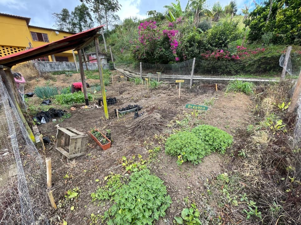 Garden
