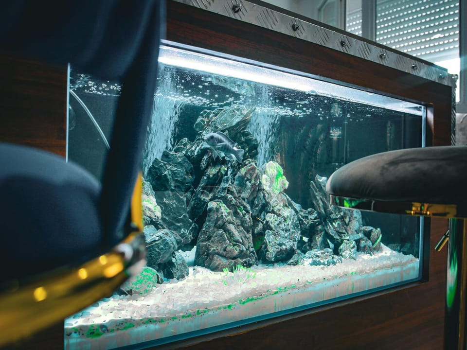 spartan room Apartment in Vitry-sur-Seine