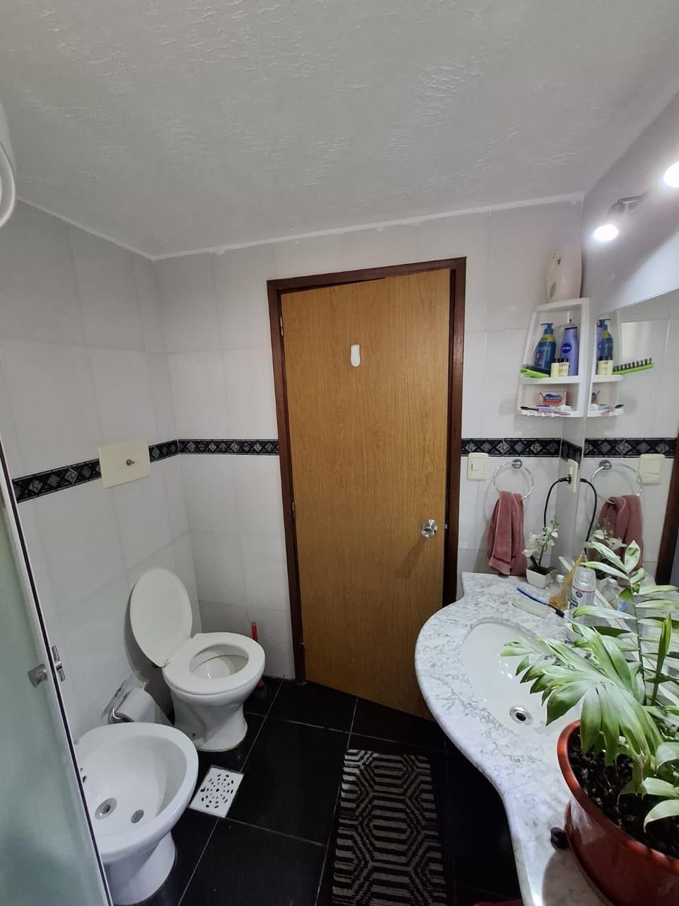 Toilet, Bathroom, bidet