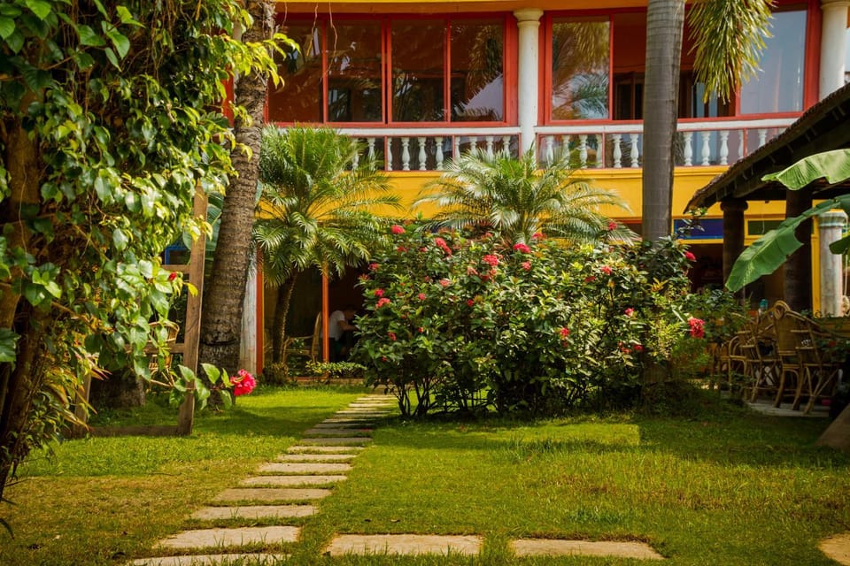 Garden view