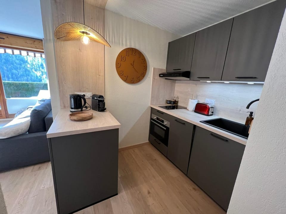 T2 design et cosy à La Clusaz avec terrasse sud et garage privé - FR-1-459-235 Apartment in La Clusaz