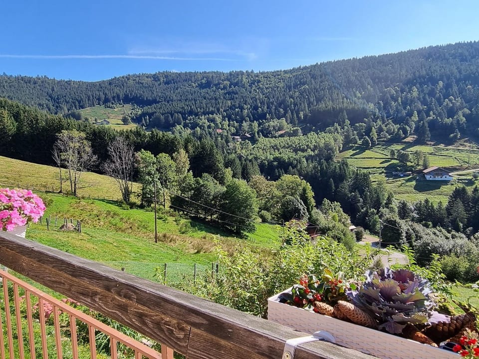 Chambres d'hôtes à la montagne, animaux acceptés - FR-1-589-735 Bed and Breakfast in Vosges