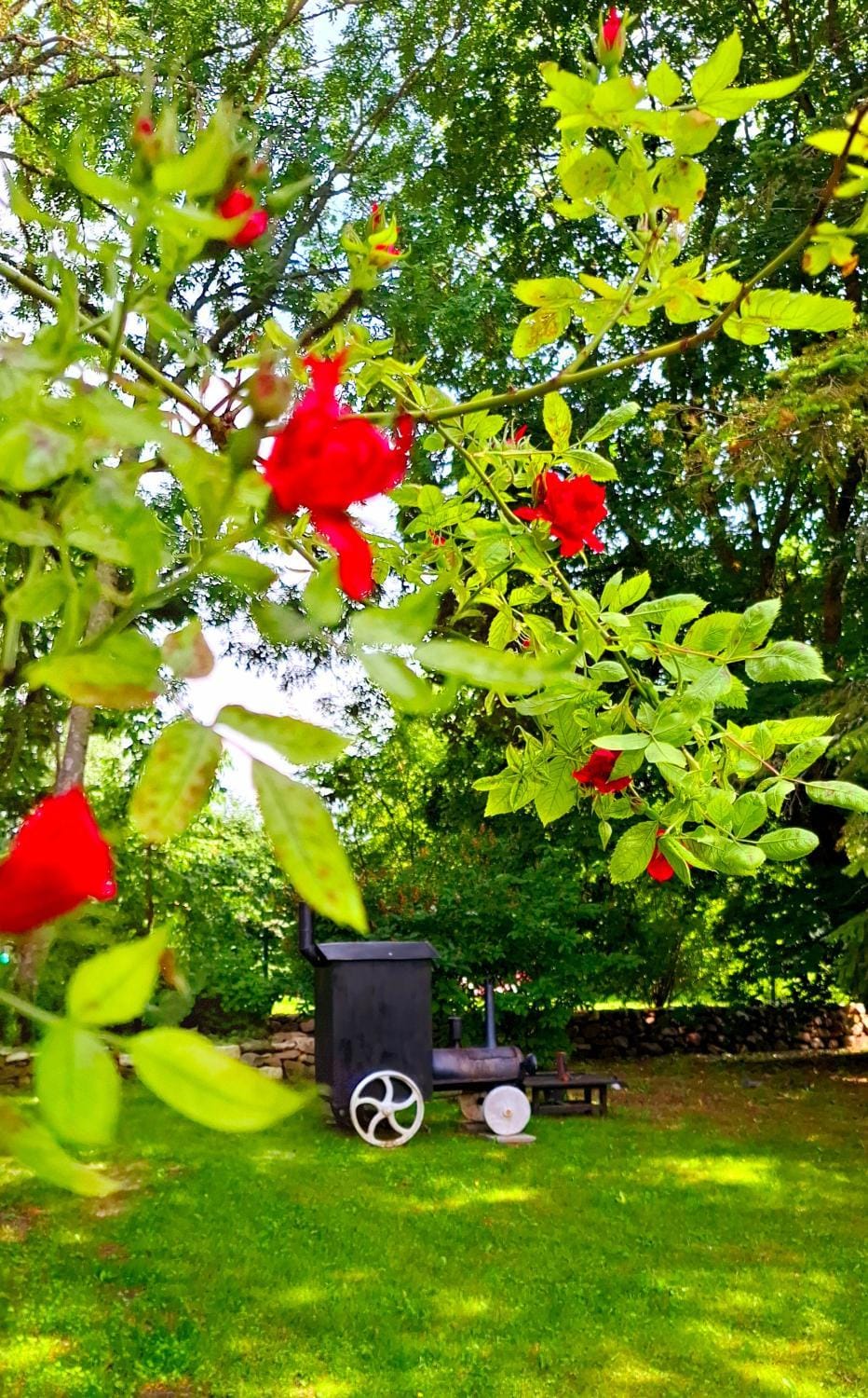 Garden view