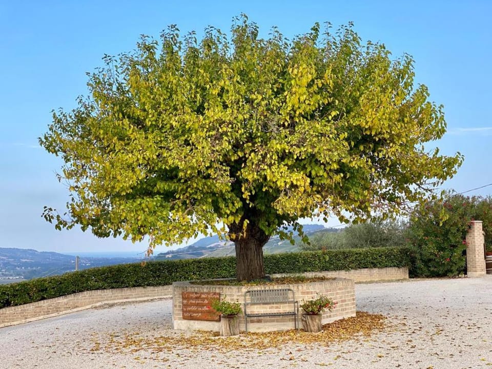 Cantina Le Canà Apartment in Marche