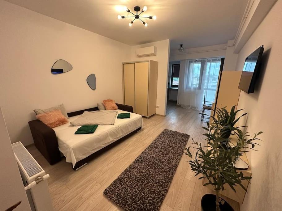 Olive - a fresh beginning Apartment in Romania