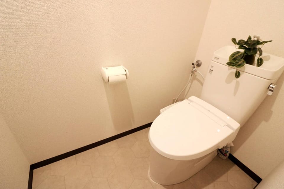 Toilet