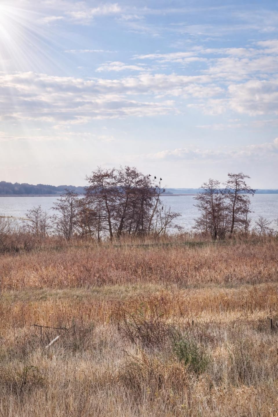 Lake view