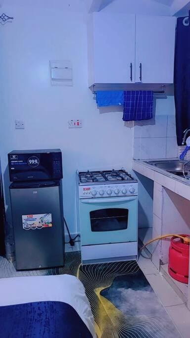 Kitchen or kitchenette, minibar, oven, stove