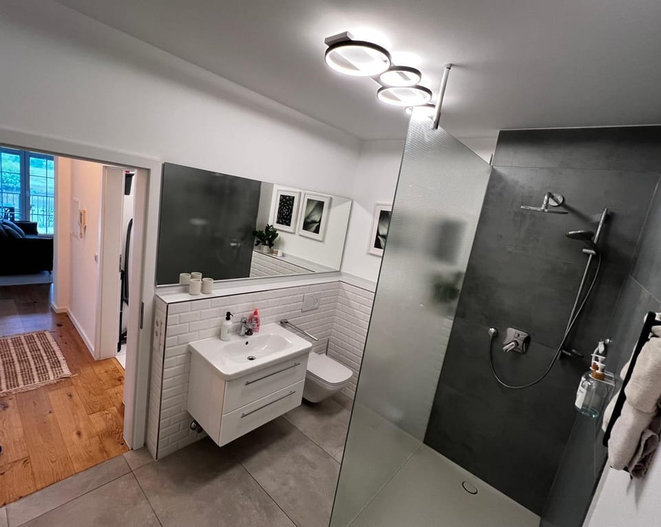 Shower, Toilet, Bathroom, towels