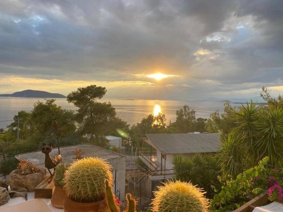 Natural landscape, Sea view, Sunset