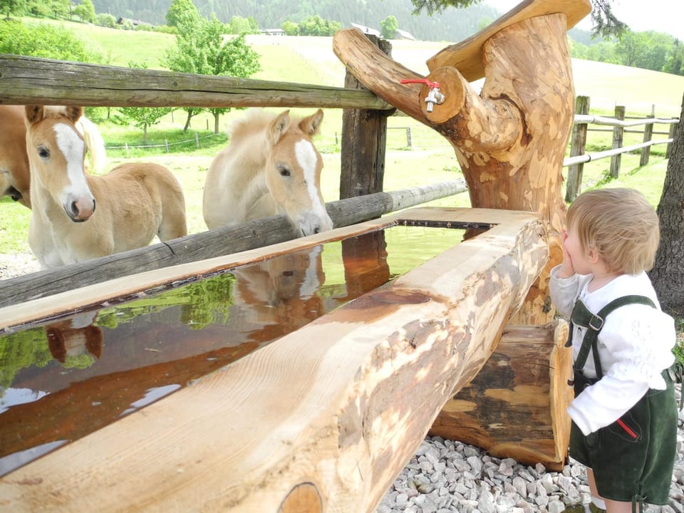 Animals, children