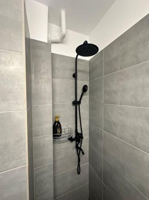 HoneyApartment Apartment in Craiova