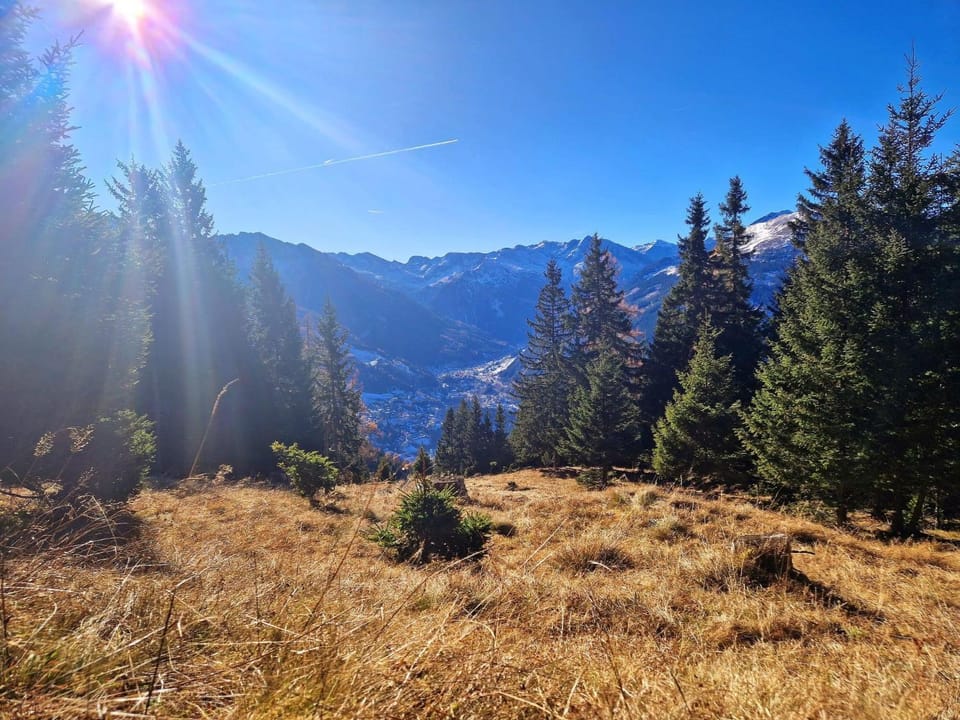 Landhaus Schwarzgütl Apartment in Bad Hofgastein