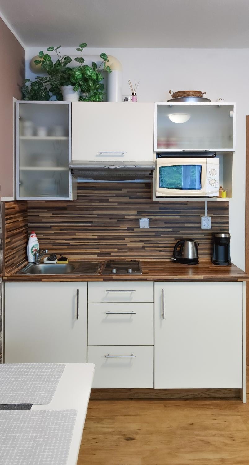 Kitchen or kitchenette