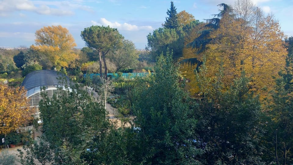 Roma Capitale B&B Bed and Breakfast in Rome