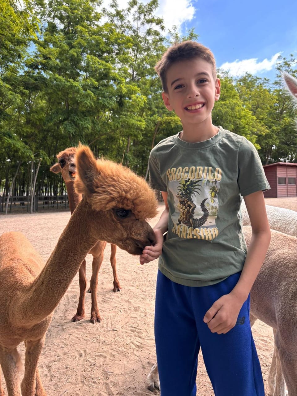 People, Animals