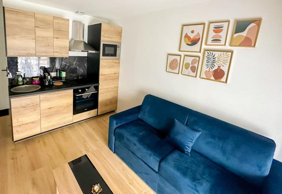 Cosy Studio Toulouse centre Apartment in Toulouse