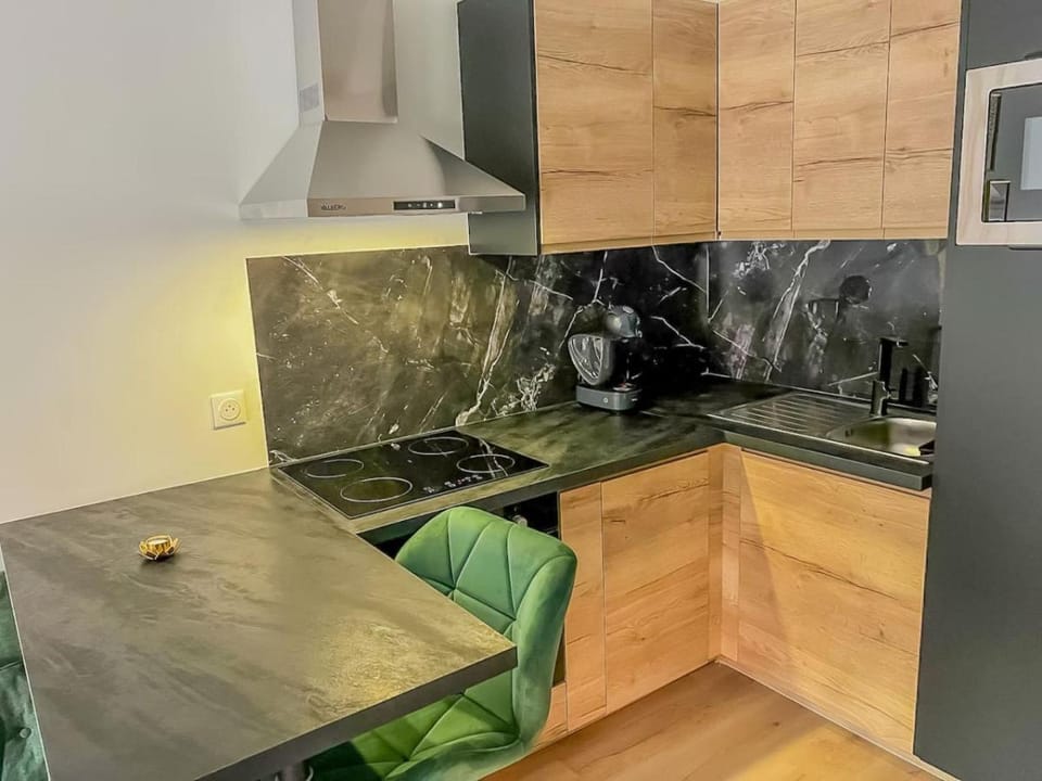 Cosy Appartement Toulouse Center Apartment in Toulouse