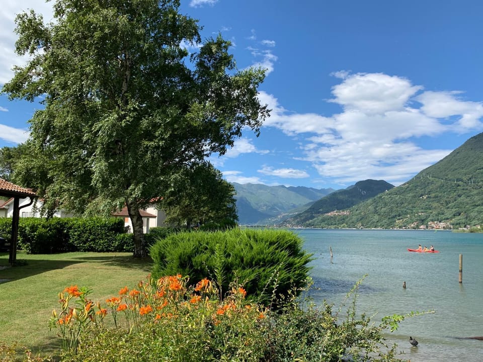 Lake view