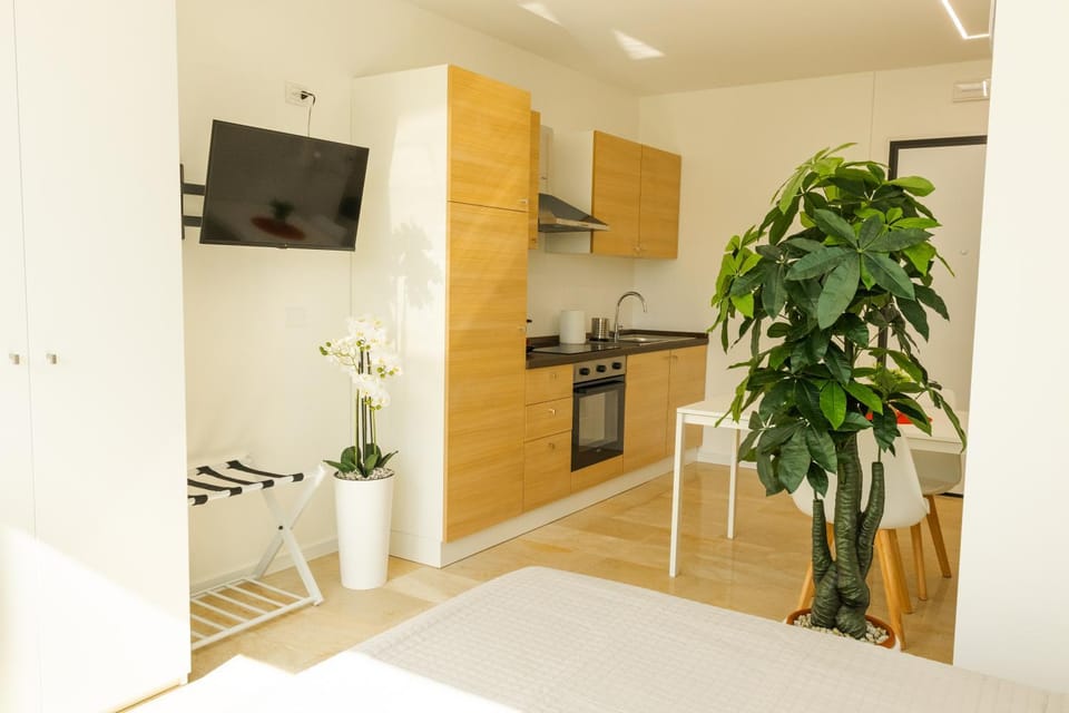 Bed, TV and multimedia, Kitchen or kitchenette, Photo of the whole room, Dining area, oven