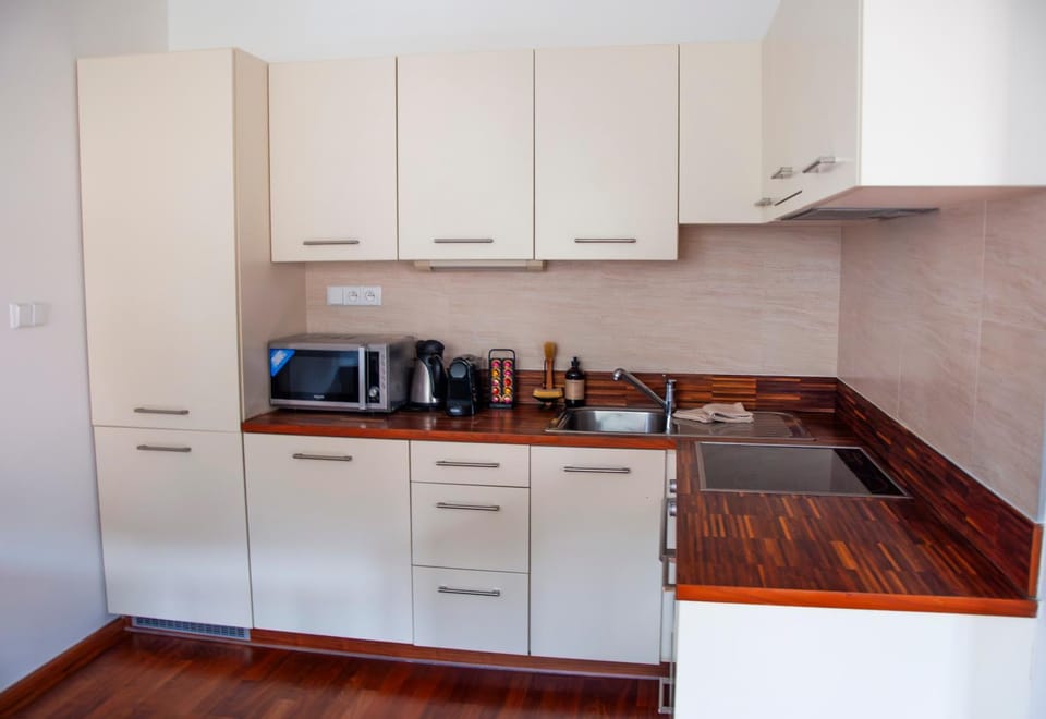 Kitchen or kitchenette, kitchen