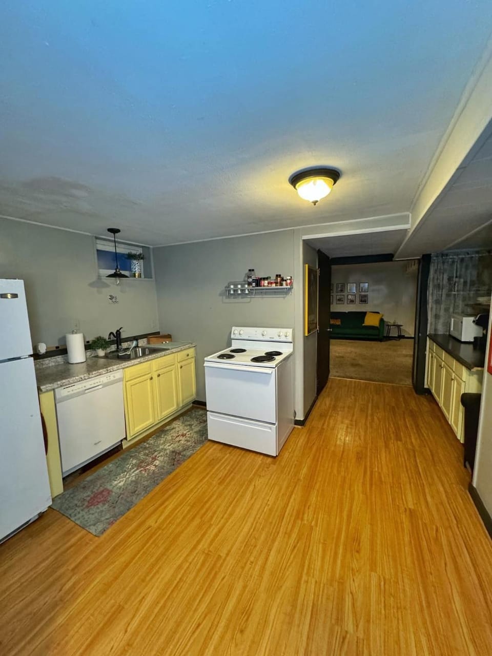 Kitchen or kitchenette, dishwasher, oven, pet friendly, stove