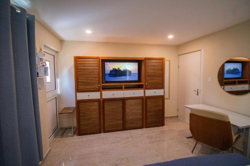 TV and multimedia