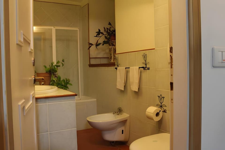 Shower, Toilet, Bathroom, bidet