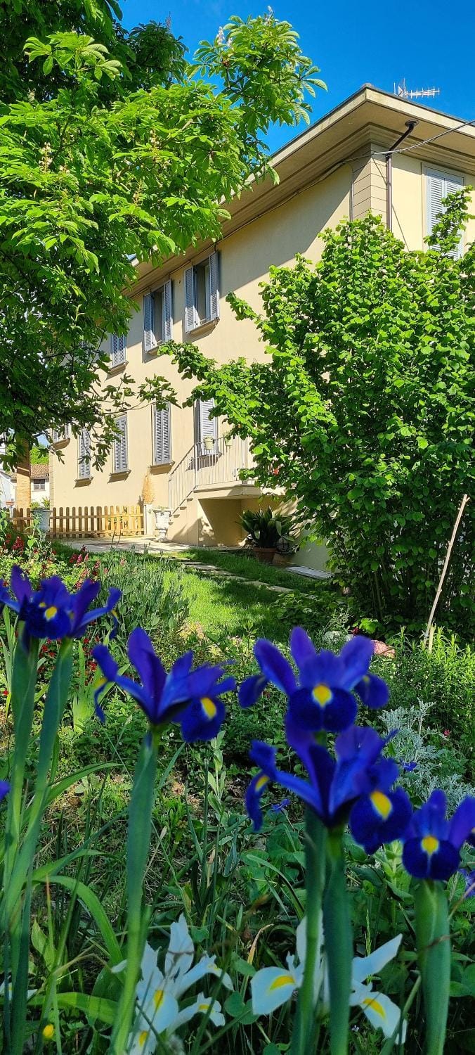 Garden view