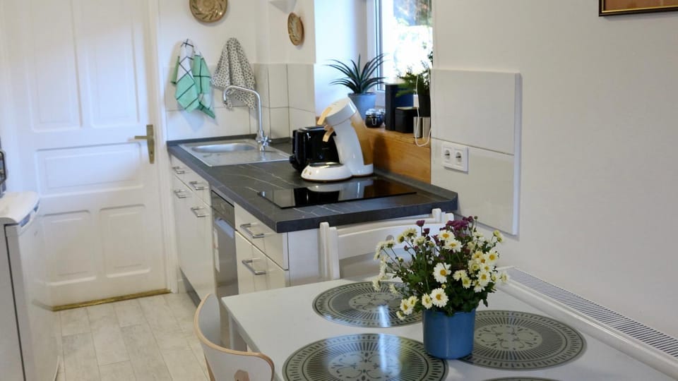 Kitchen or kitchenette, dishwasher, stove