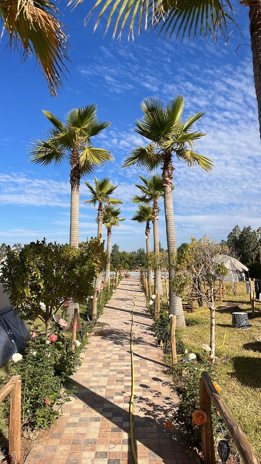 Superides Camp Luxury tent in Marrakesh-Safi