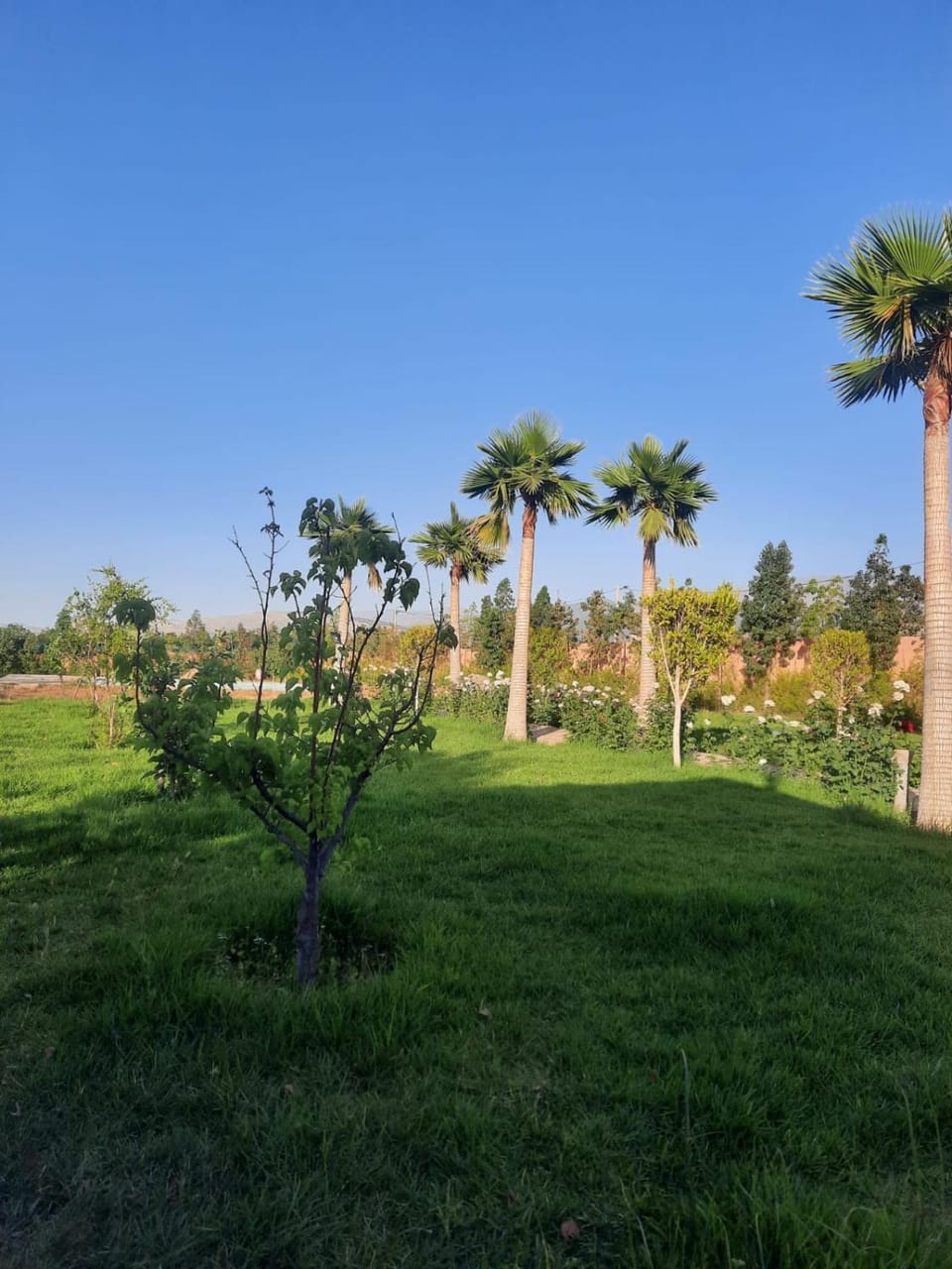 Spring, Day, Natural landscape, Garden, Garden view