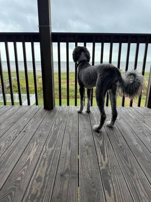 BeachFront Bliss-4BR-Million Dollar Views-Sleeps 8 House in Galveston Island