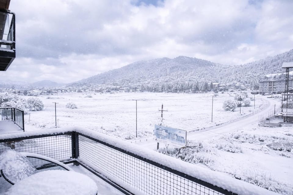 Winter