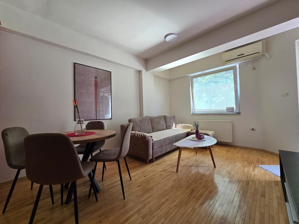 Living room, Seating area, Dining area, air conditioner
