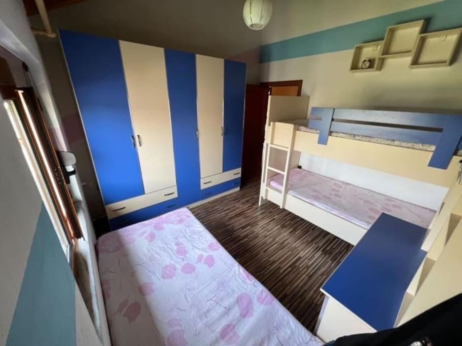Bed, Photo of the whole room, Bedroom, bunk bed