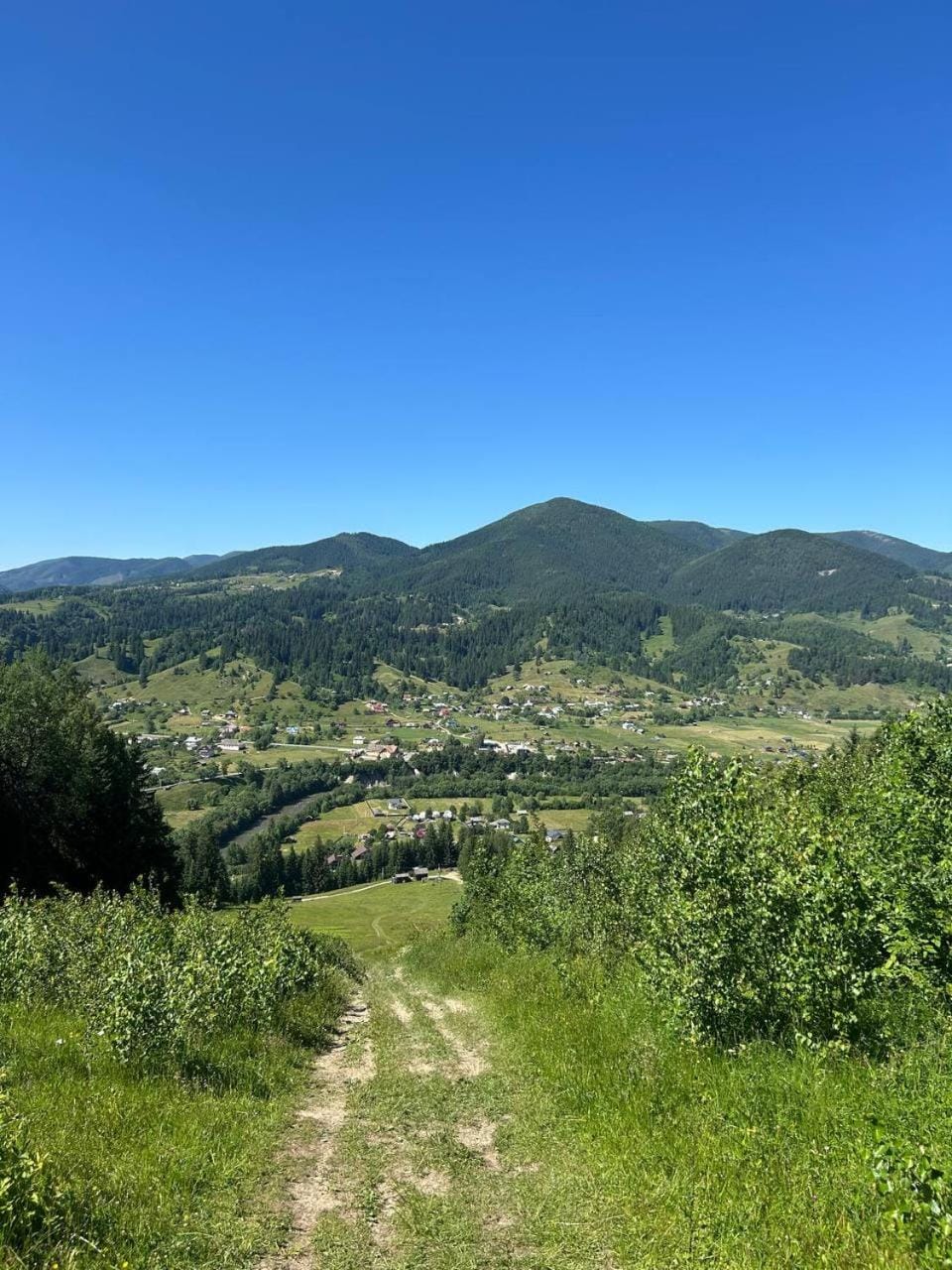 Natural landscape