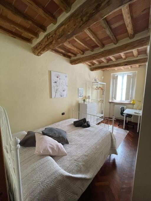 Casa Luisa - Mura di Lucca Apartment in Capannori
