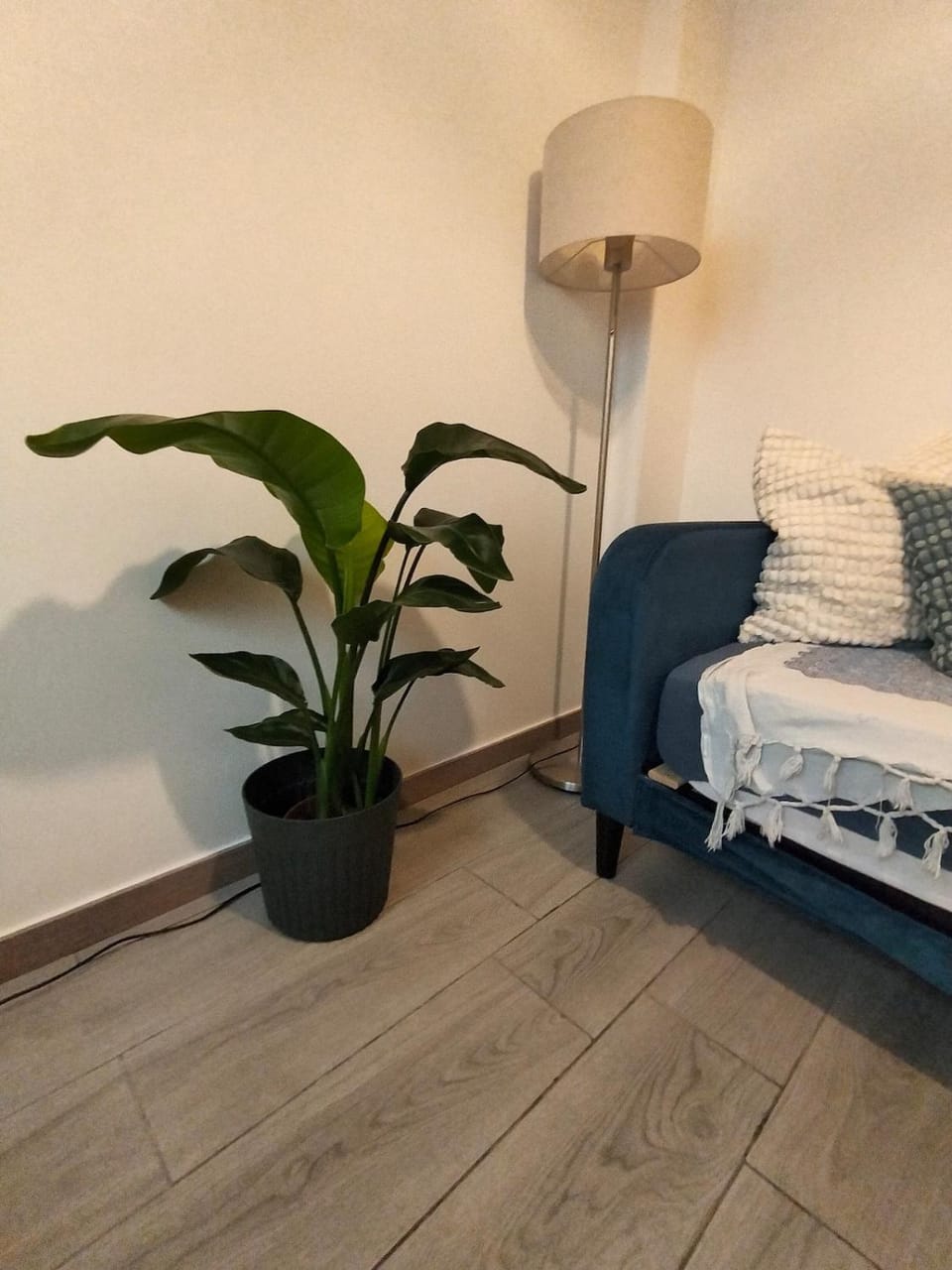 Aura Guesthouse Apartment in Lagos
