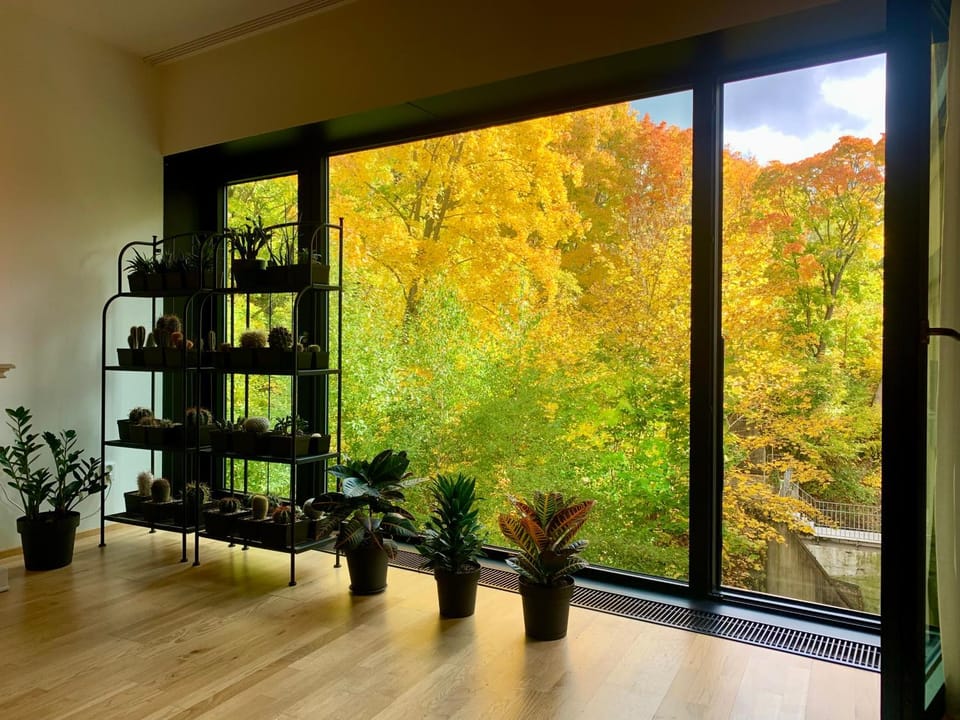 Natural landscape, View (from property/room), Living room, Autumn, Seasons