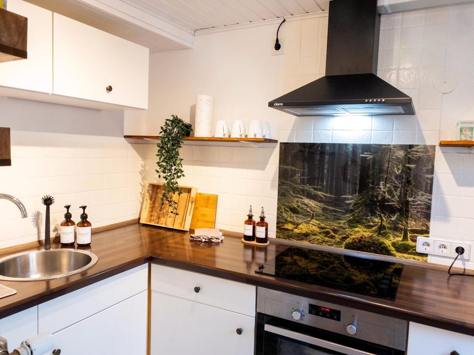 Kitchen or kitchenette, pet friendly