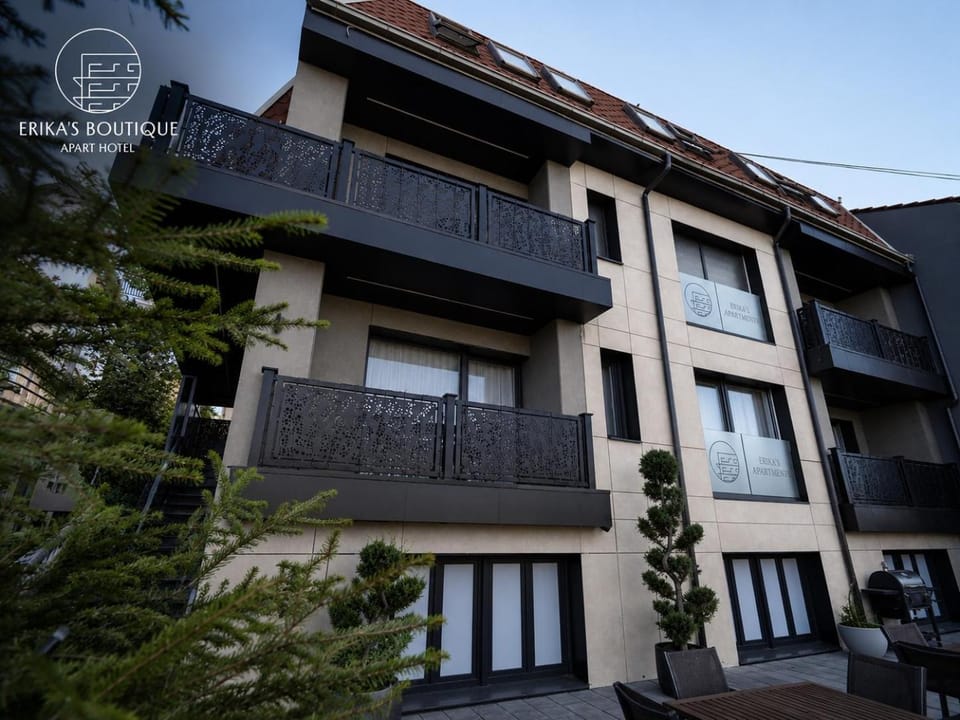 Erika's Boutique Hotel Hotel in Serbia