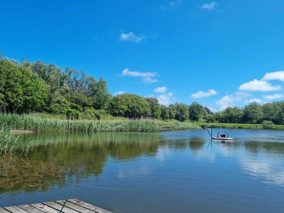 Lake view
