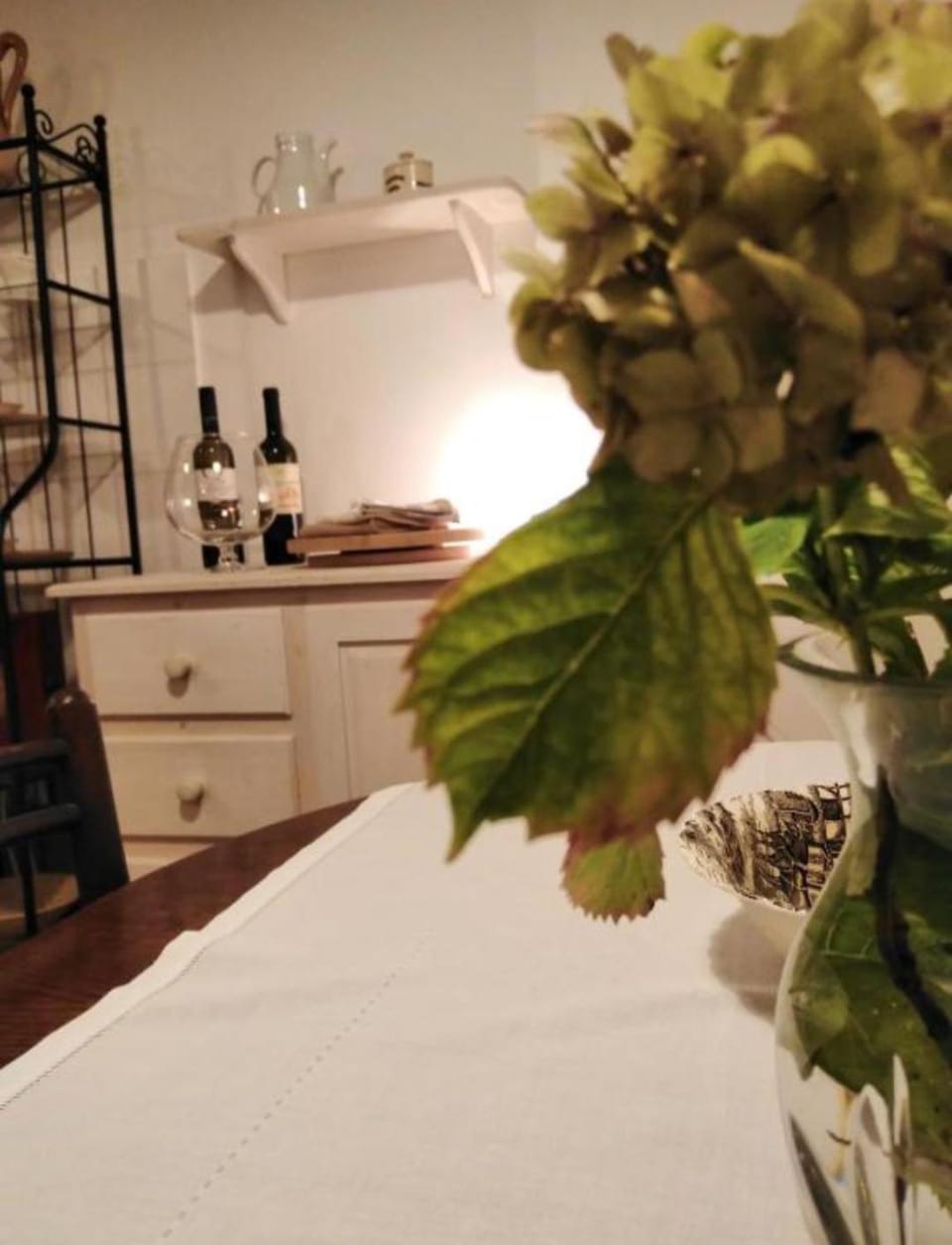 Šomin lagum - Guest house Bed and Breakfast in Novi Sad