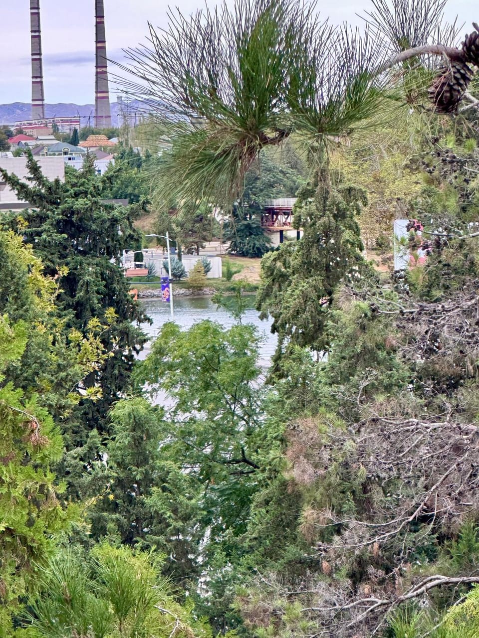 Day, Natural landscape, Garden view, River view