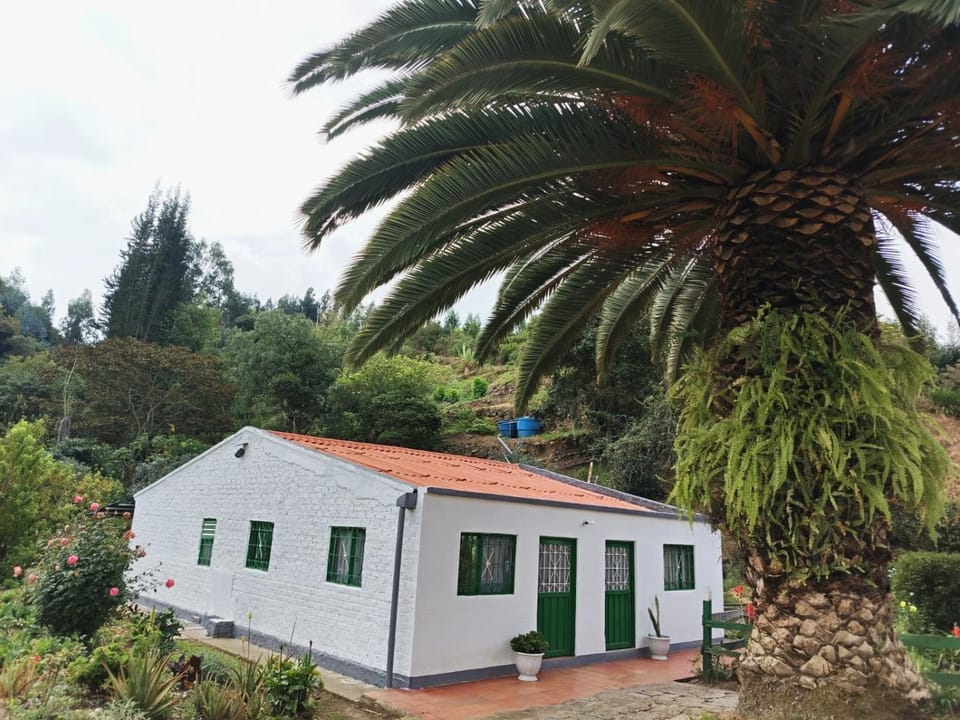 Property building, Garden view