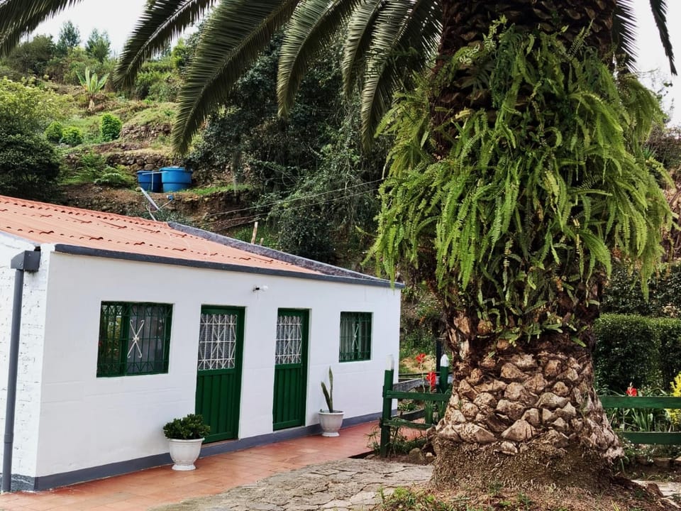 Property building, Garden